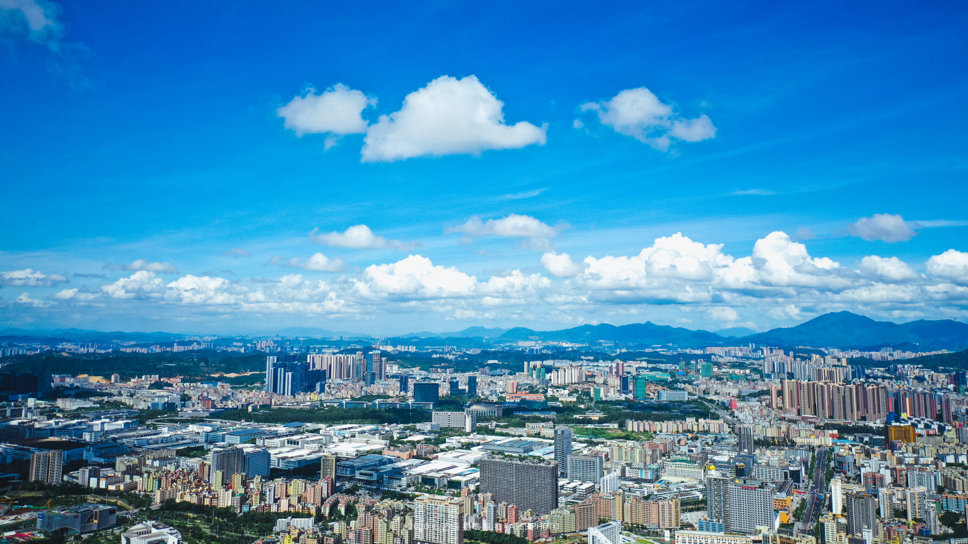 航拍深圳·龙华区新貌