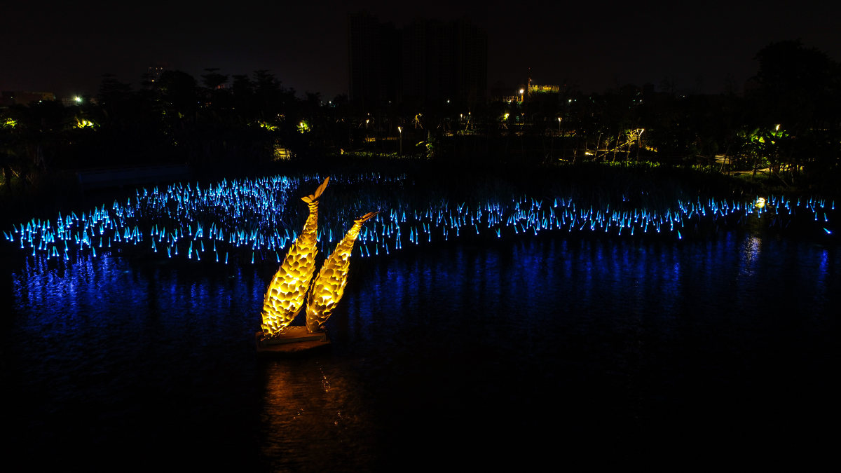 灯都生态湿地公园夜景图片