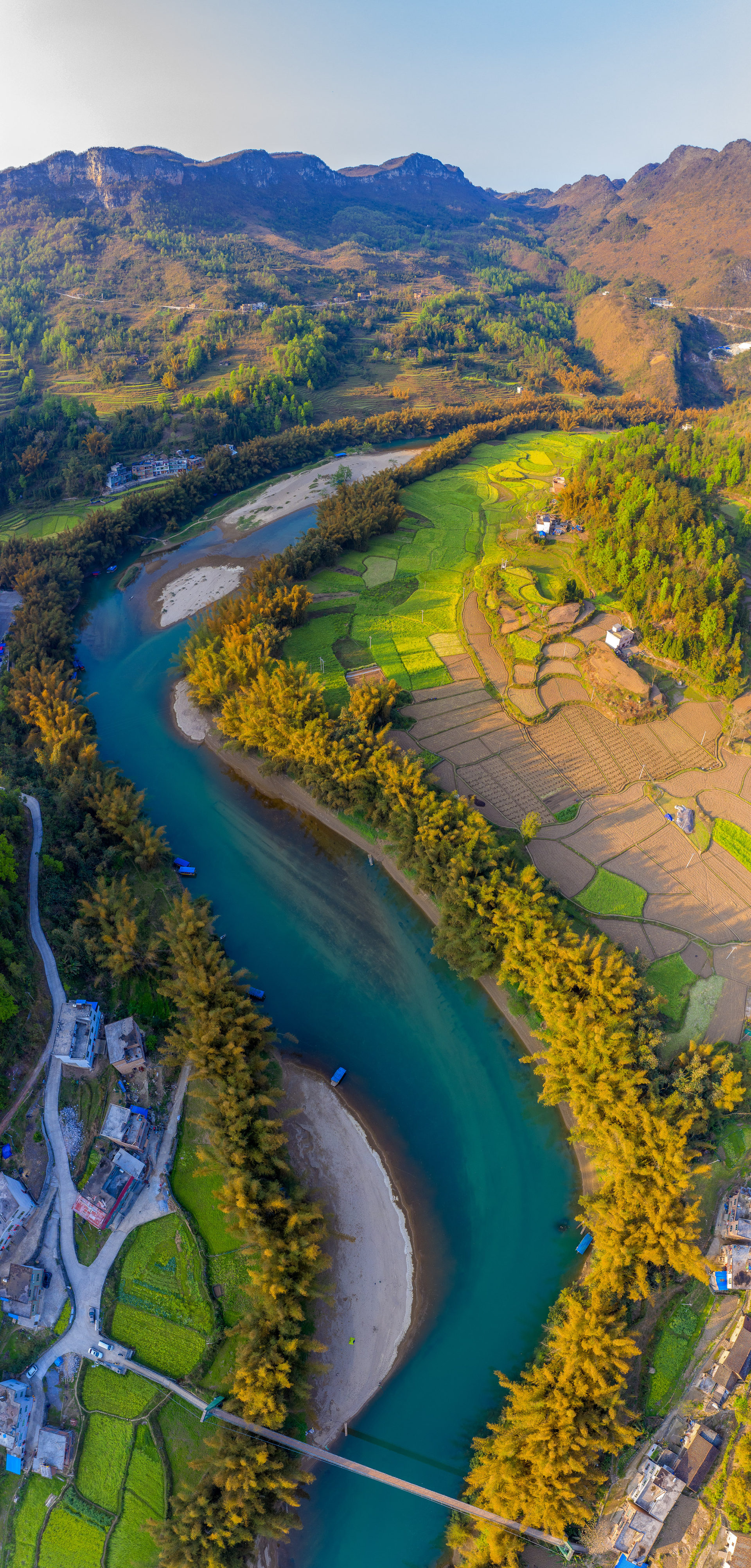 金黄的甲茶落日