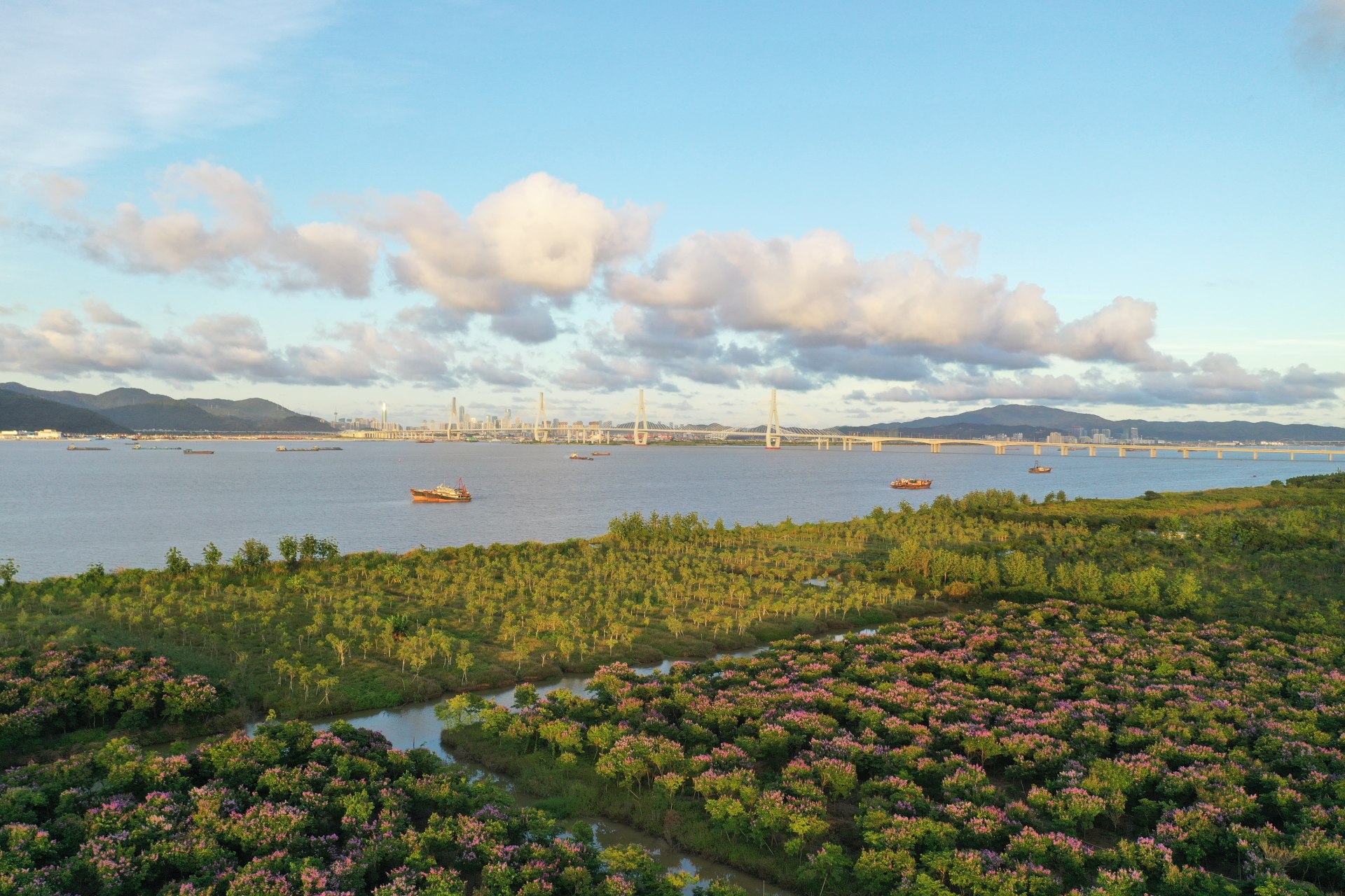 珠海鹤洲新区图片