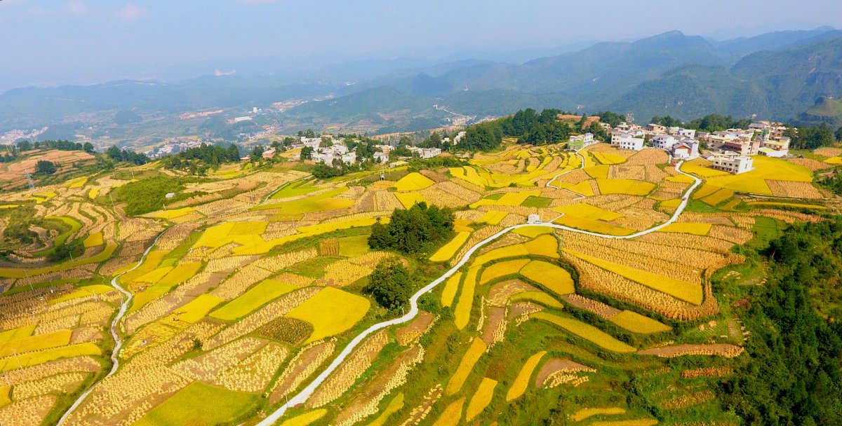 贵阳市高坡乡高山秋收景色