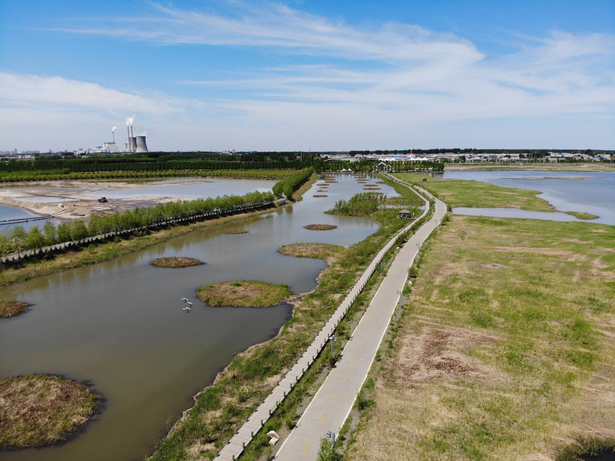 呼兰河口湿地公园
