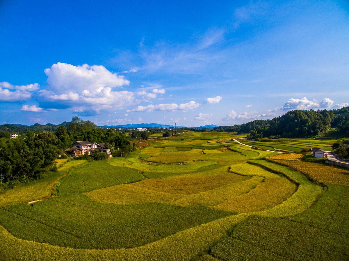 61 金色田园贡米之乡(组照) 2016-11-20skypixel use only 地处贵州省