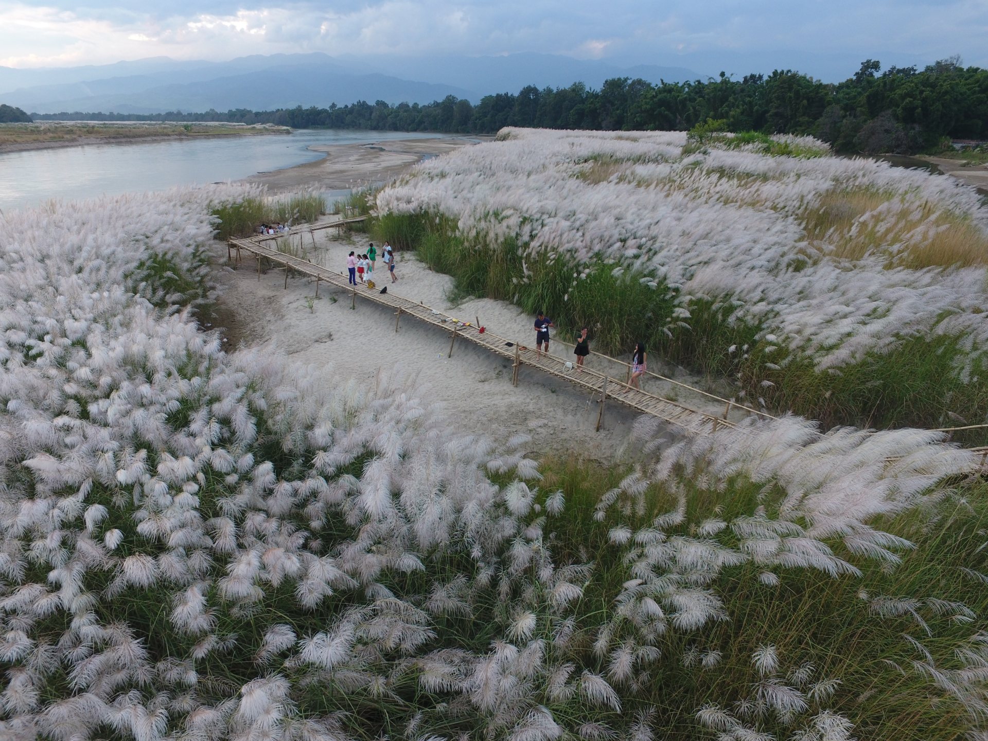 大盈江湿地公园