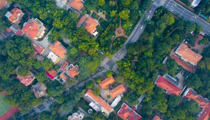 a variety of colors, a variety of lives