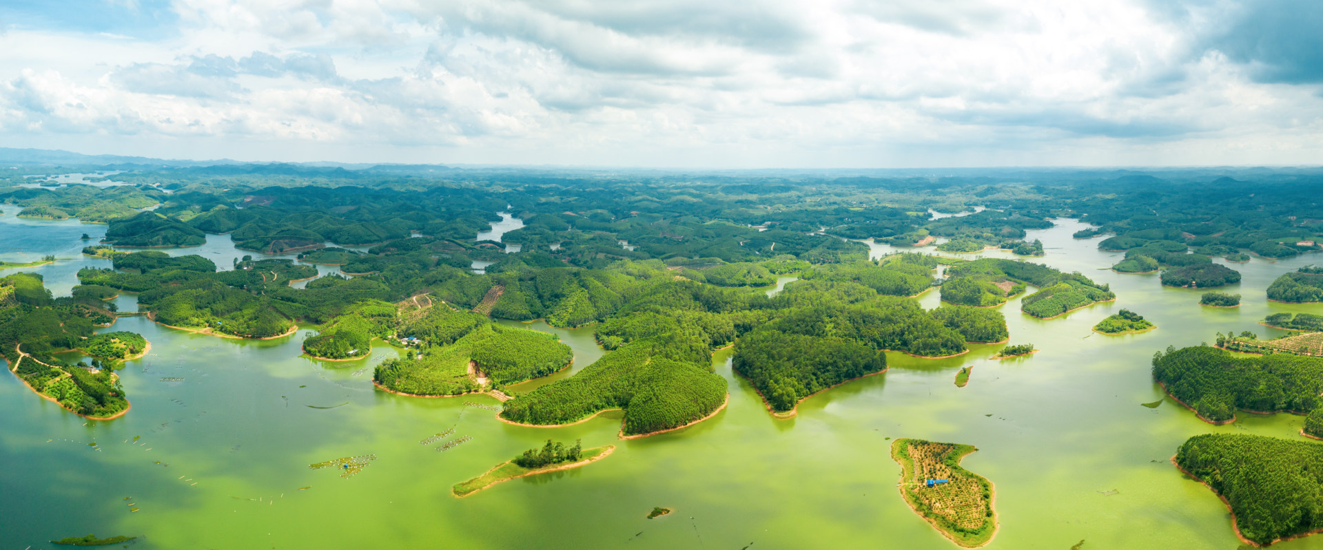 西津湖生态湿地