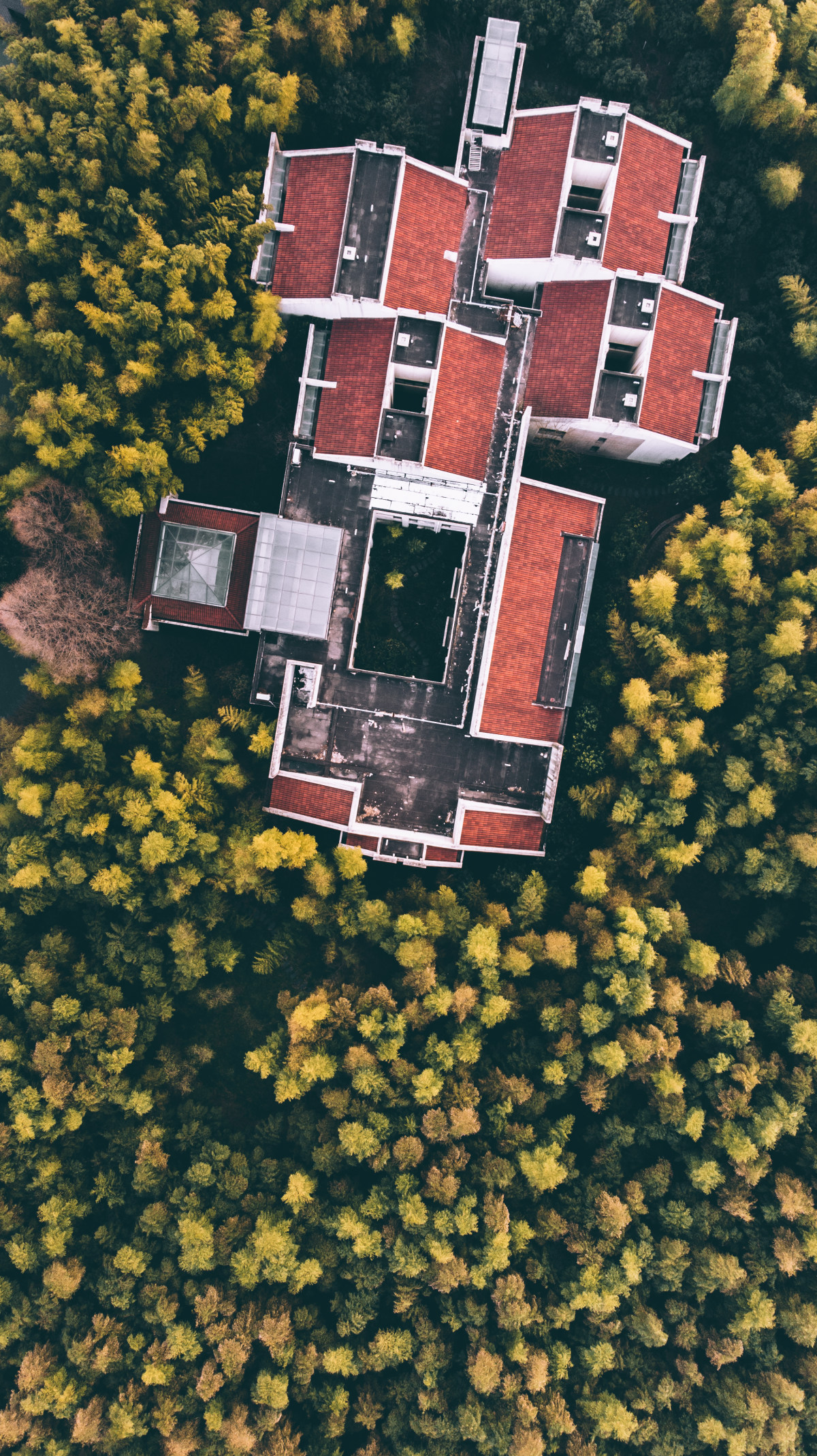 竹林秘境by 石磊 Skypixel 竹林秘境by 石磊 Skypixel