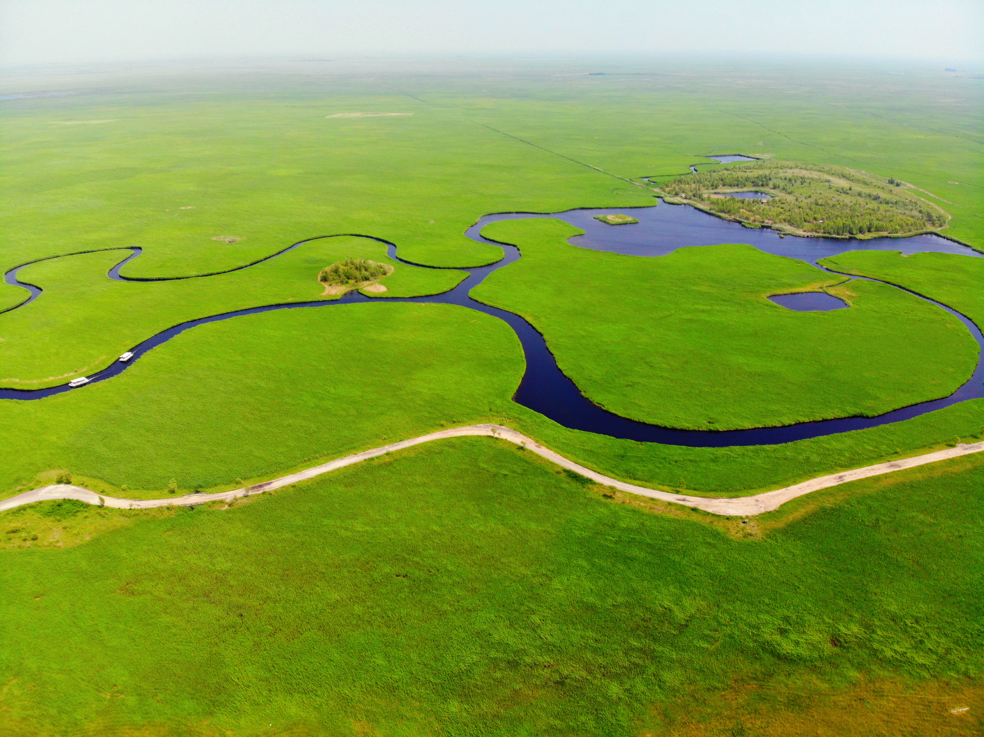 扎龙湿地地貌图片