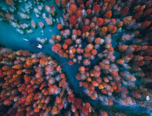 Seize the Autumn Tail