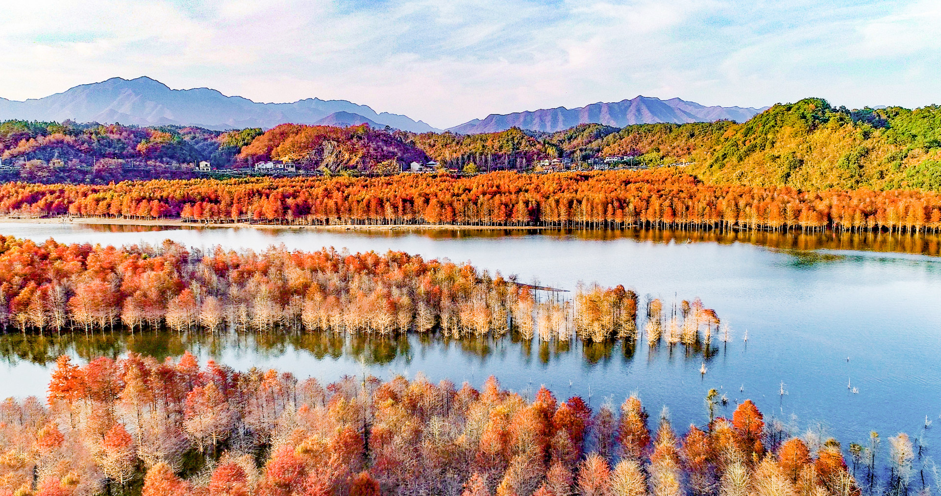 红树林 来自 pianoyao | 天空之城