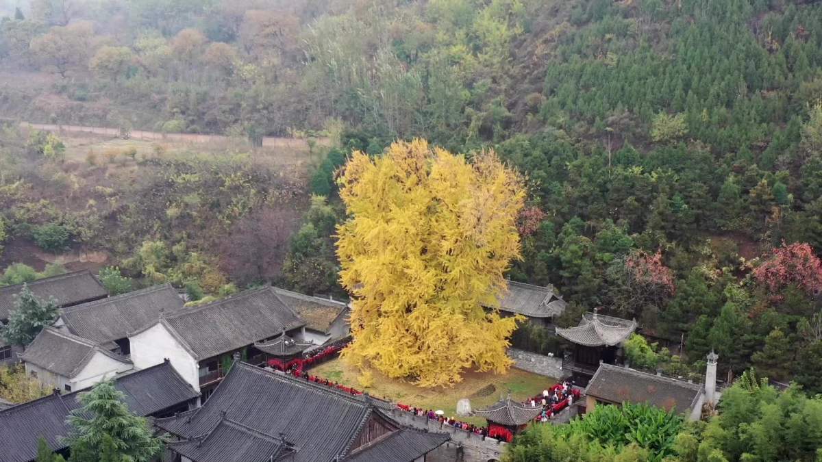 終南山古觀音禪寺