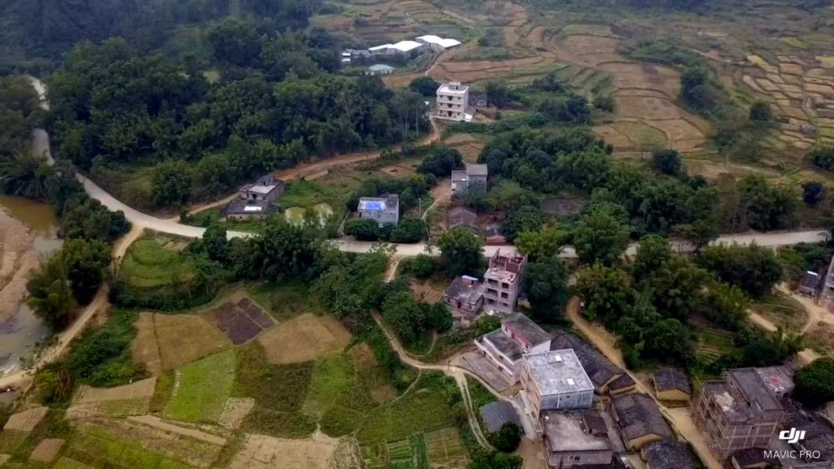 我们阳春市三甲新坡的 山区美景 空气没有污染