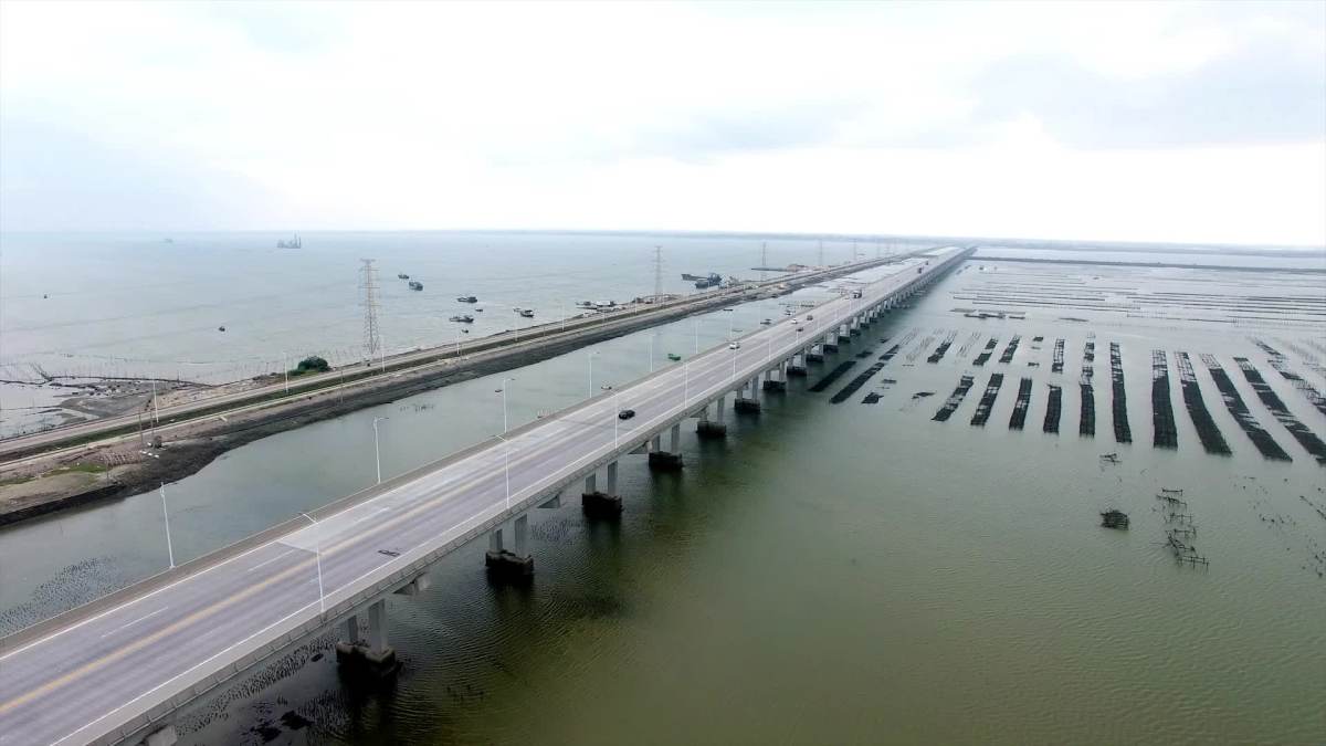 湛江堵海东北大堤&广东湛江红树林国家级自然保护区