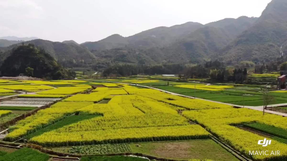 中国最具投资潜力永嘉美丽乡村(邵园村)宣传航拍大片.