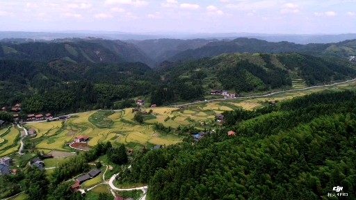 锦屏平秋镇桥问村金秋
