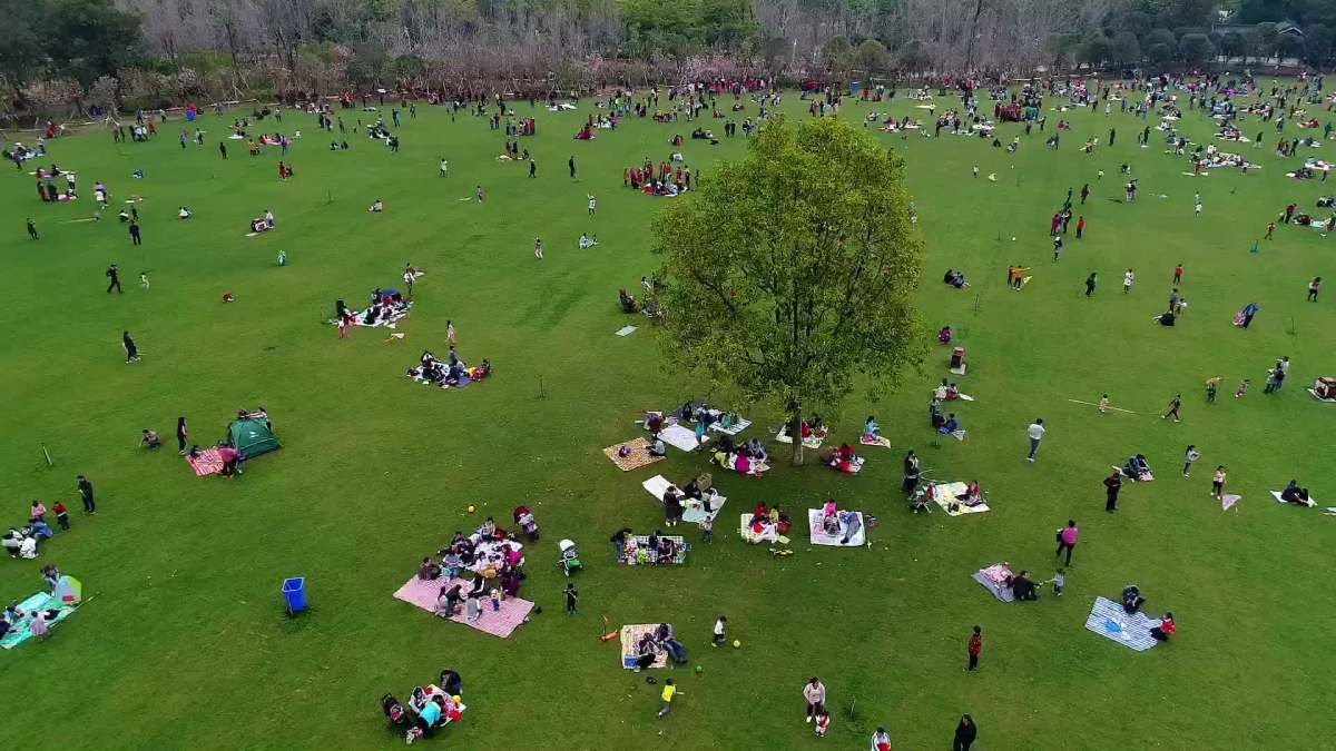 商住用地,不做房开种绿草,种上了可以踩踏的青草,成为了市民休闲场所