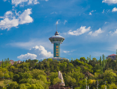秉秉不是饼饼丶
