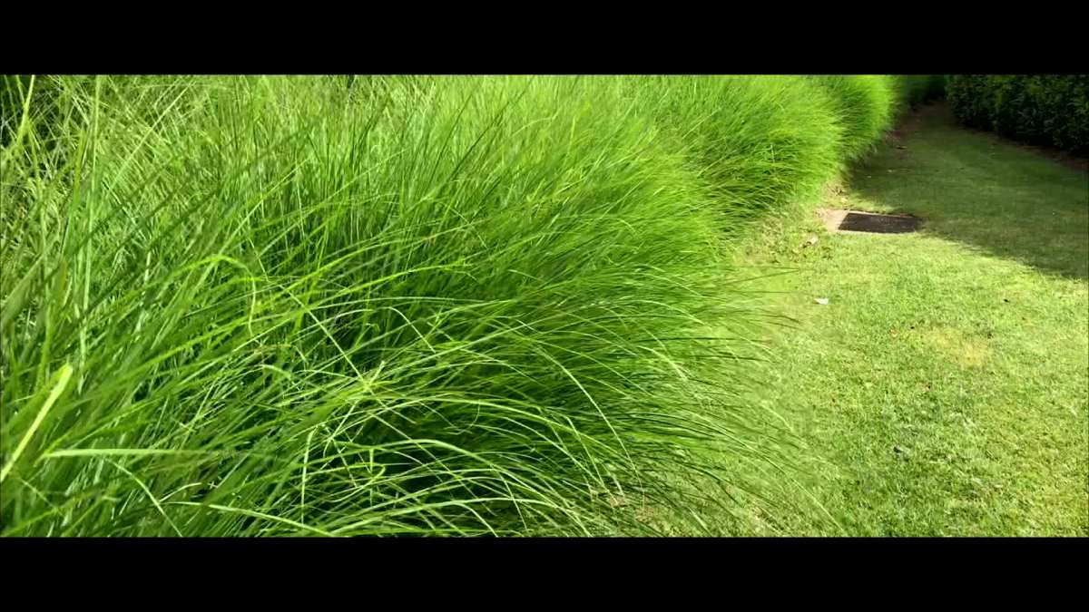 travel in yarra valley/亚拉河谷vlog