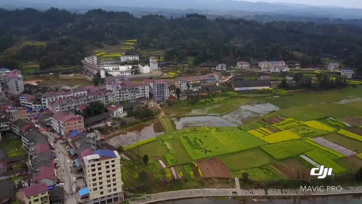 大美七甲坪镇蚕忙第二次飞行