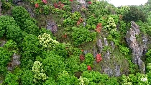 芦溪县银河镇邓家田村金鸡岭风景