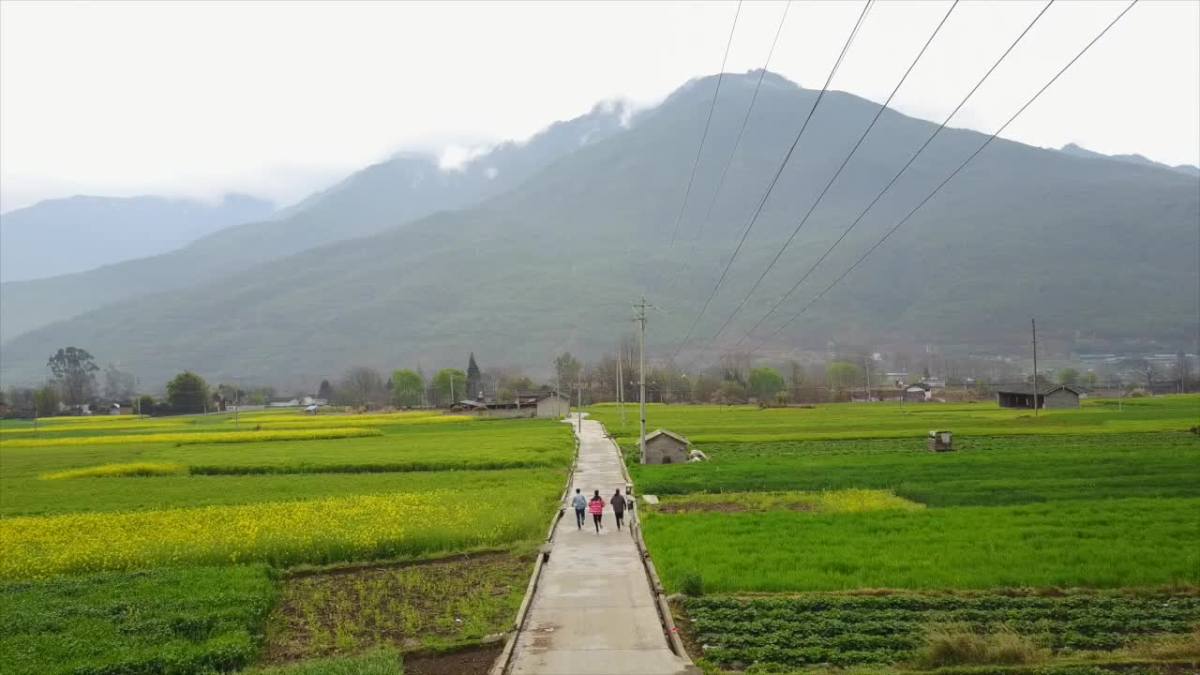 迪庆藏族自治州金江镇