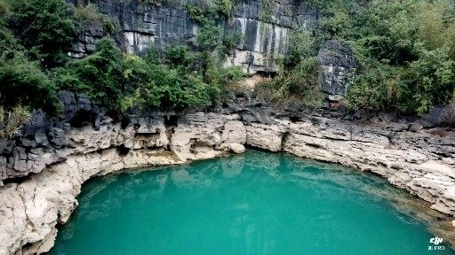 广西桃花水母天窗图片