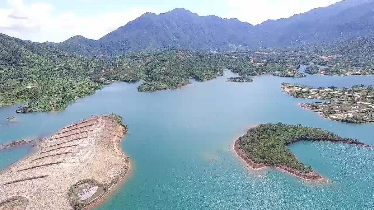 海丰莲花山红花地水库