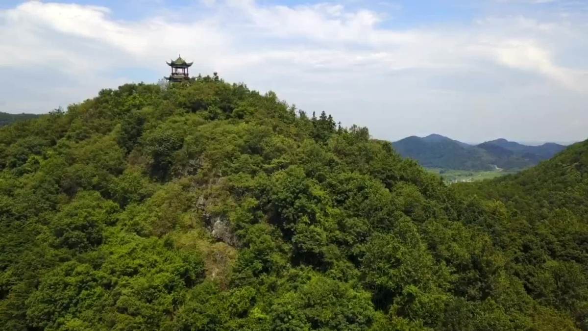 湖北大冶市灵乡镇,三角山脉还有大片书库