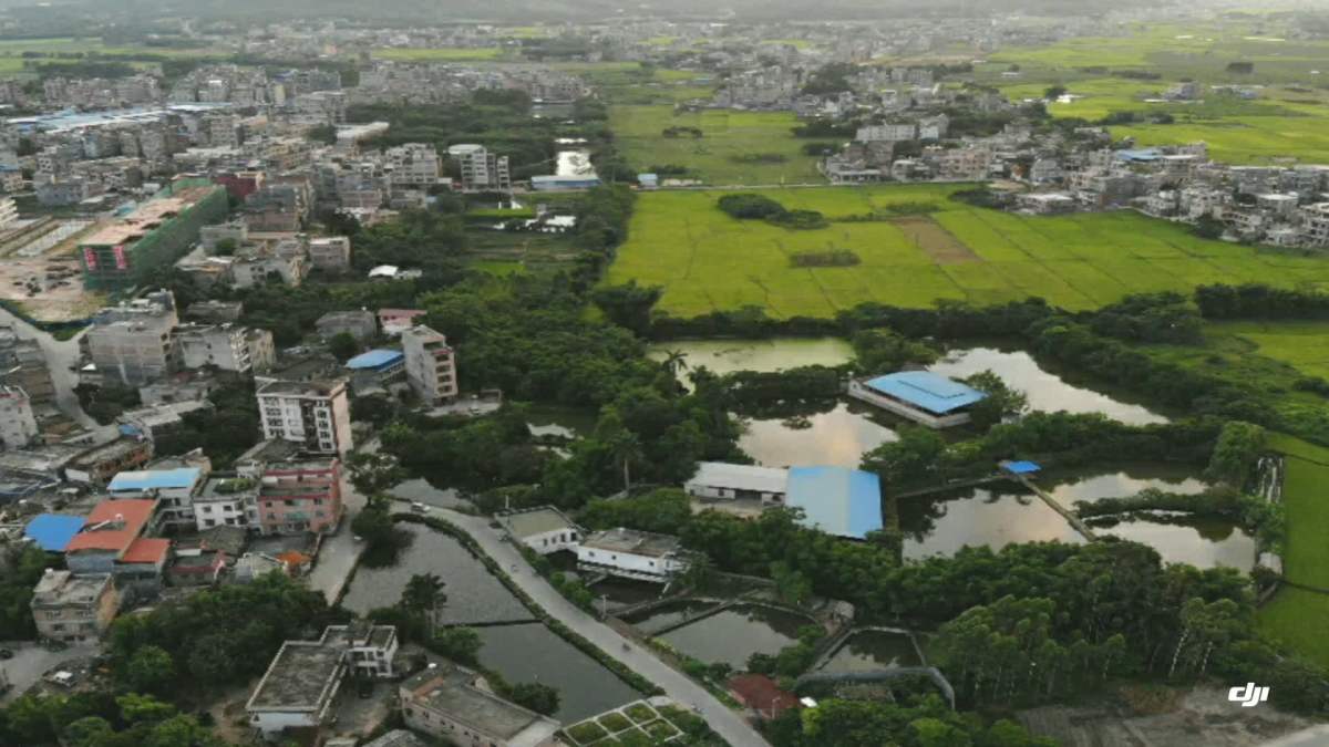 北流新圩