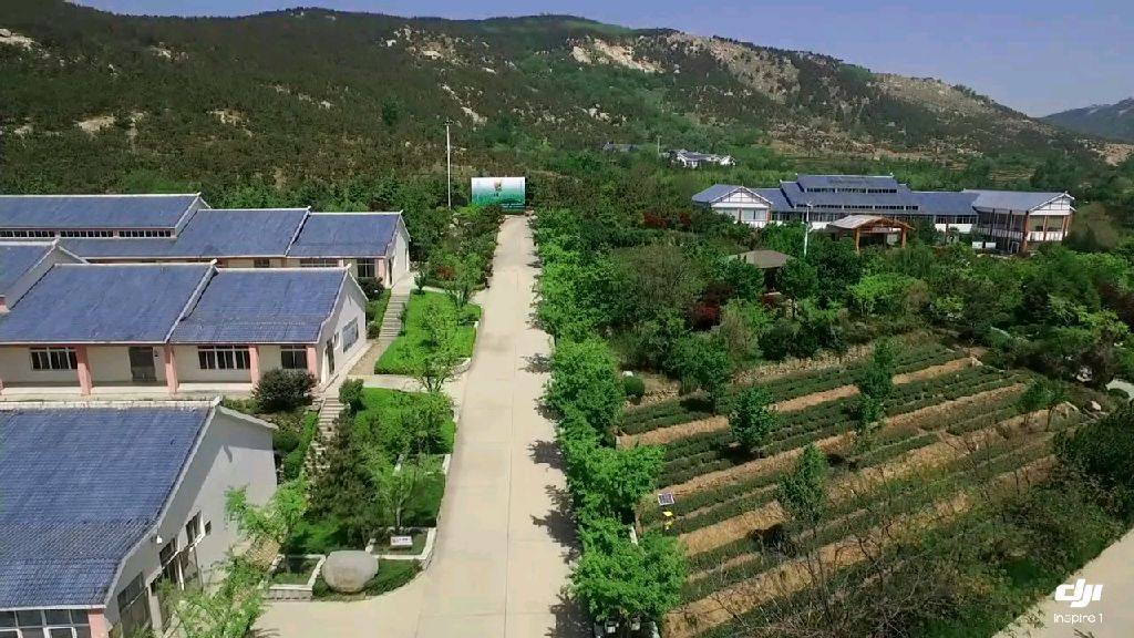 航拍日照碧波茶场,碧波山庄