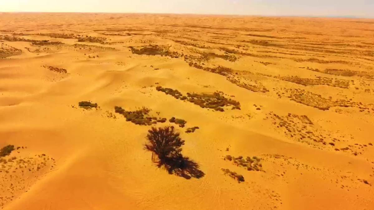 特仑苏乌兰布和沙漠图片