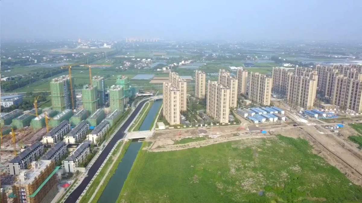 金汇镇网格中心新址全貌