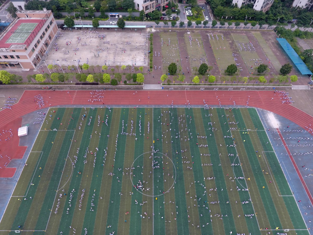 江门市紫茶小学图片