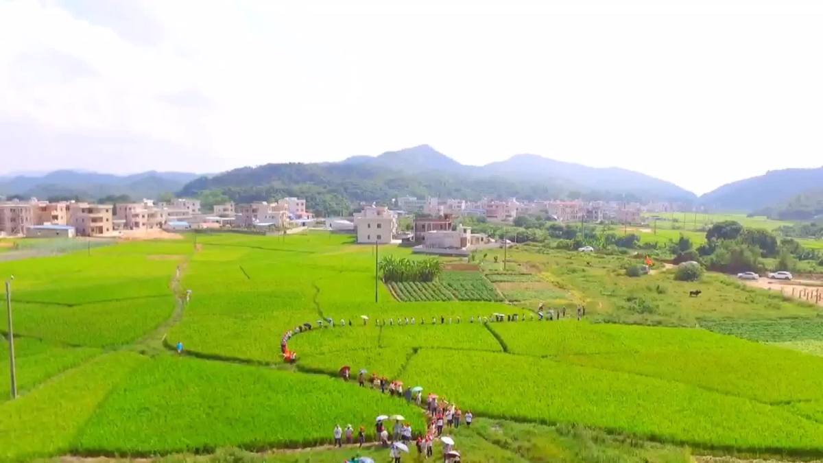 广东省惠州市惠东县平海镇鹧洞村(李家庄)李氏拜祖