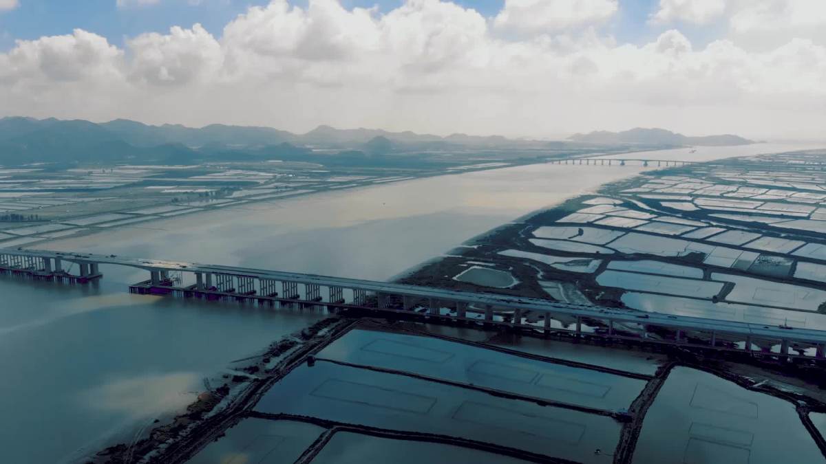 台州市沿海高速浦坝港大桥