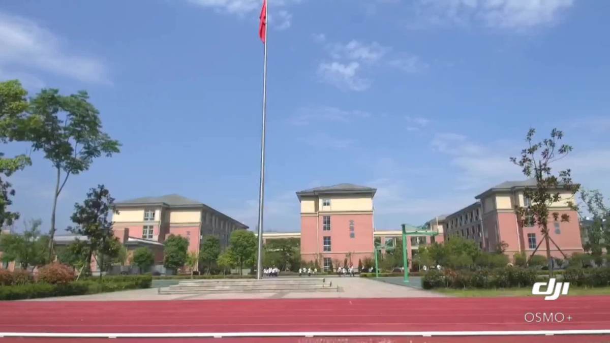 大禹小学六三班毕业季