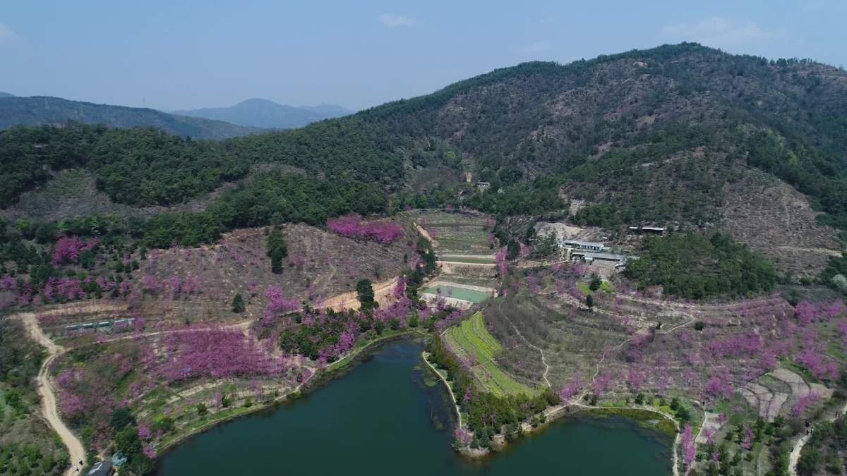 昆明安宁王家小院2017春景