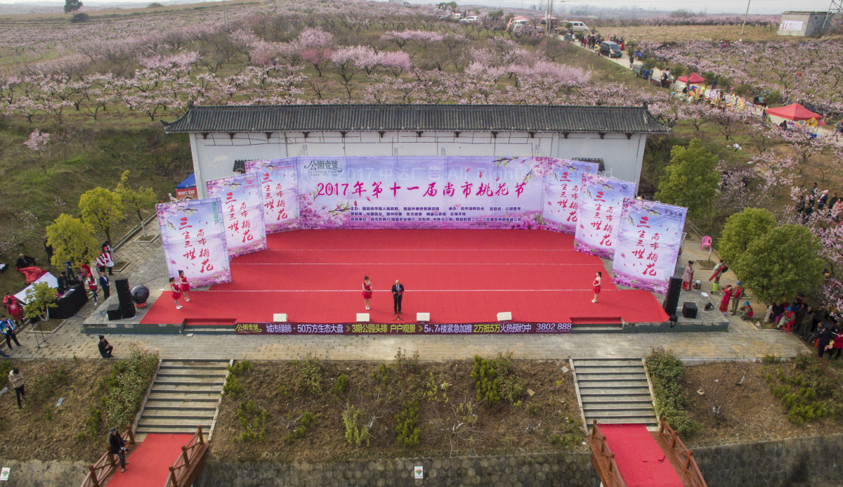 十一届随州尚市桃花节.mp4
