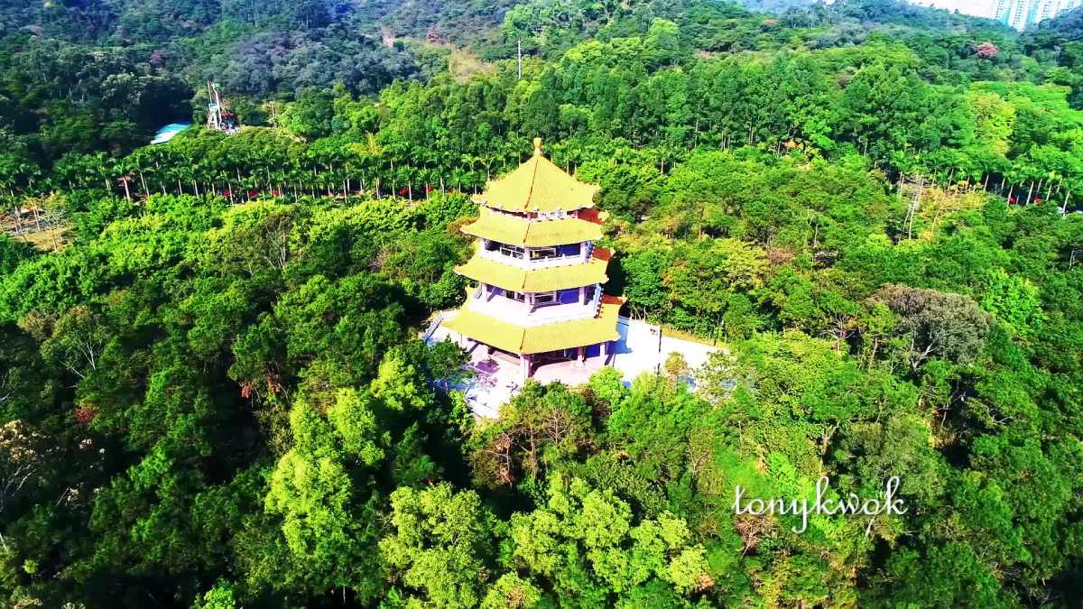东莞同沙生态公园鸟岛东莞大道以及松山湖大道华为集团