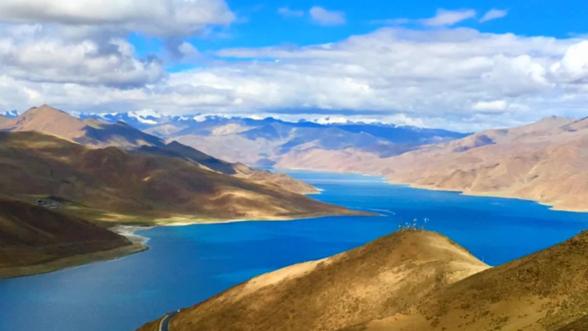 羊卓雍措湖的鱼,羊卓雍措湖鱼,羊卓雍措湖_大山谷图库