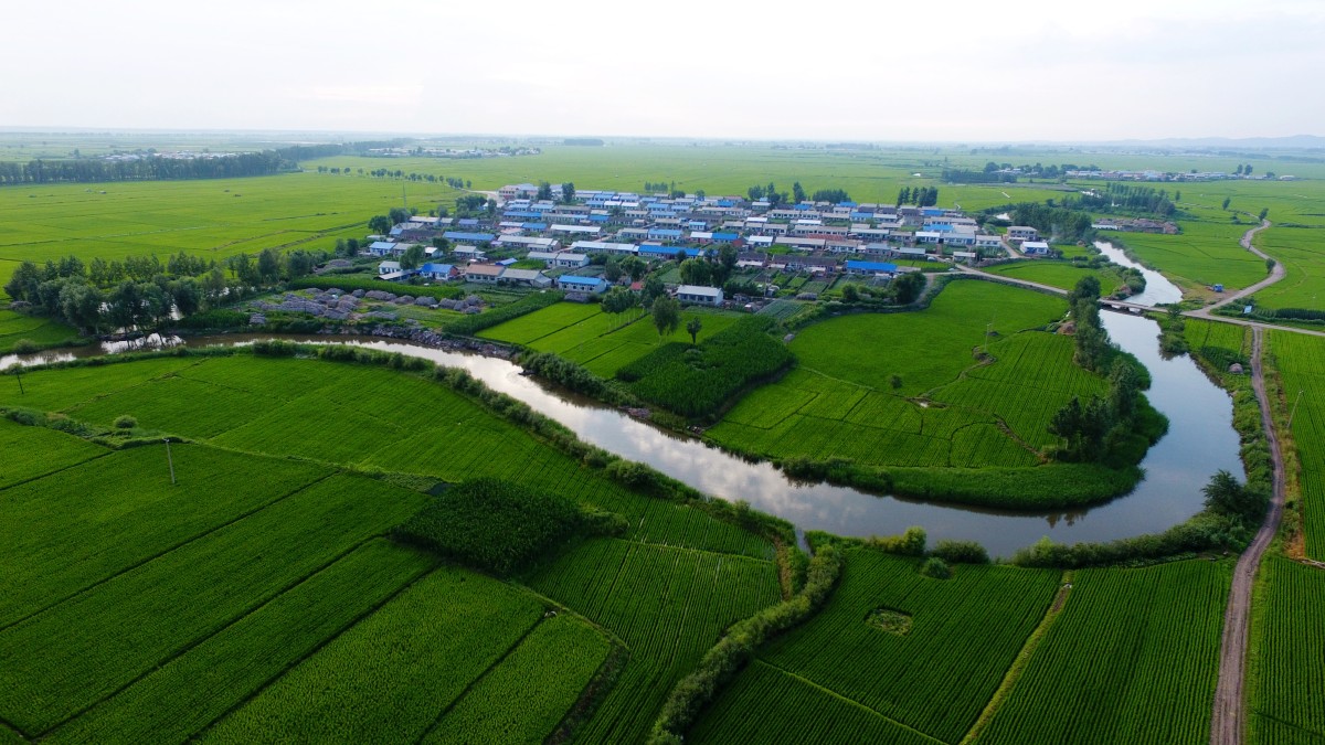 生态稻乡 中国五常