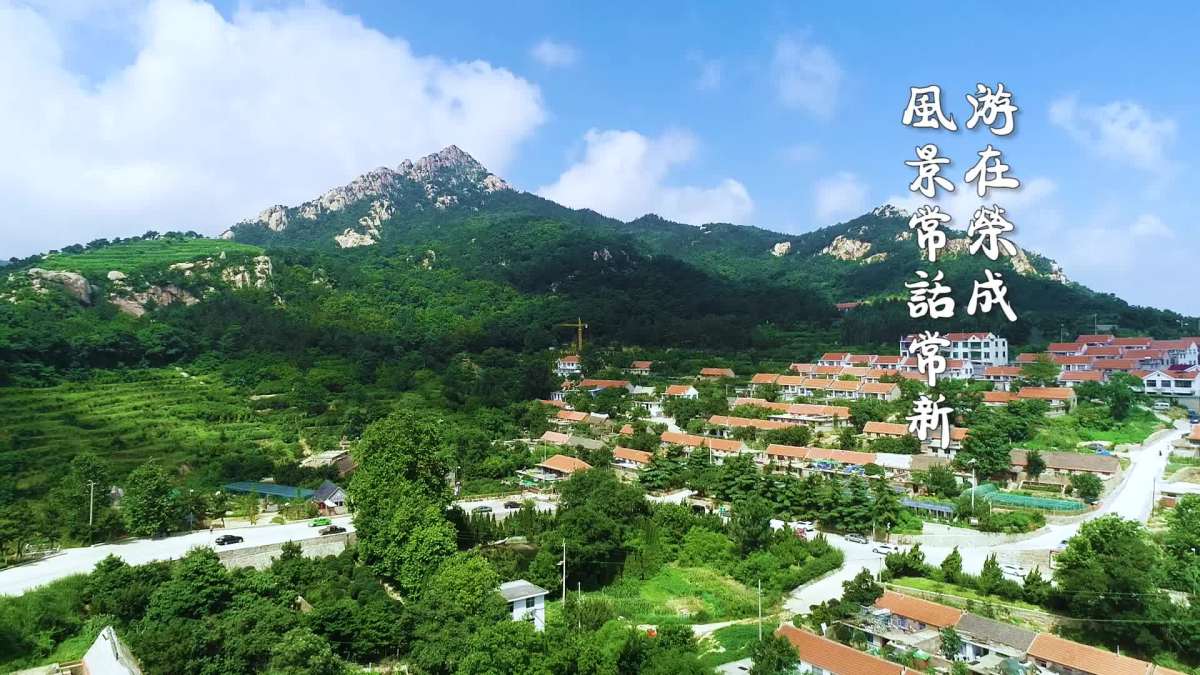 石岛花村