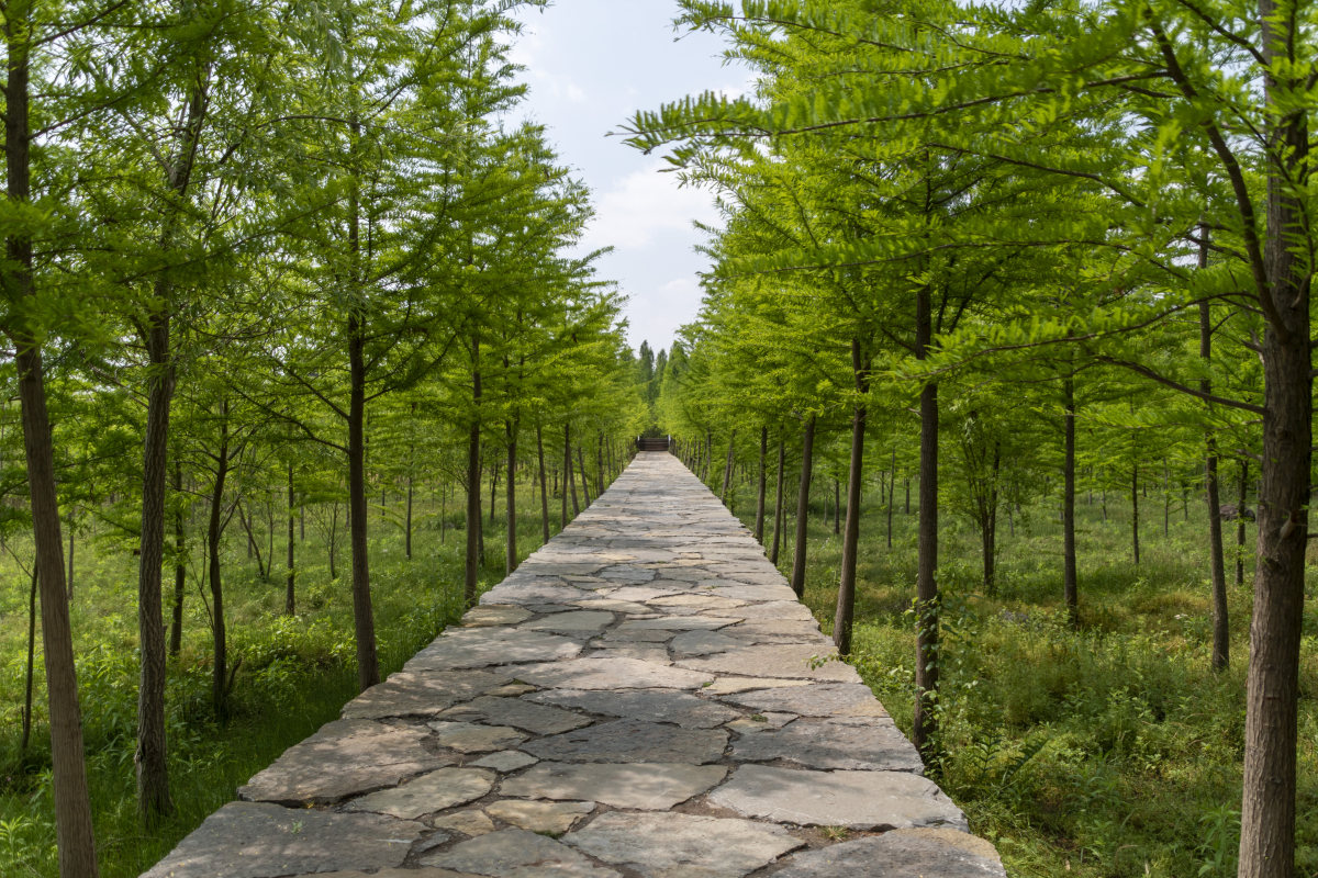 网红沙滩红山咀