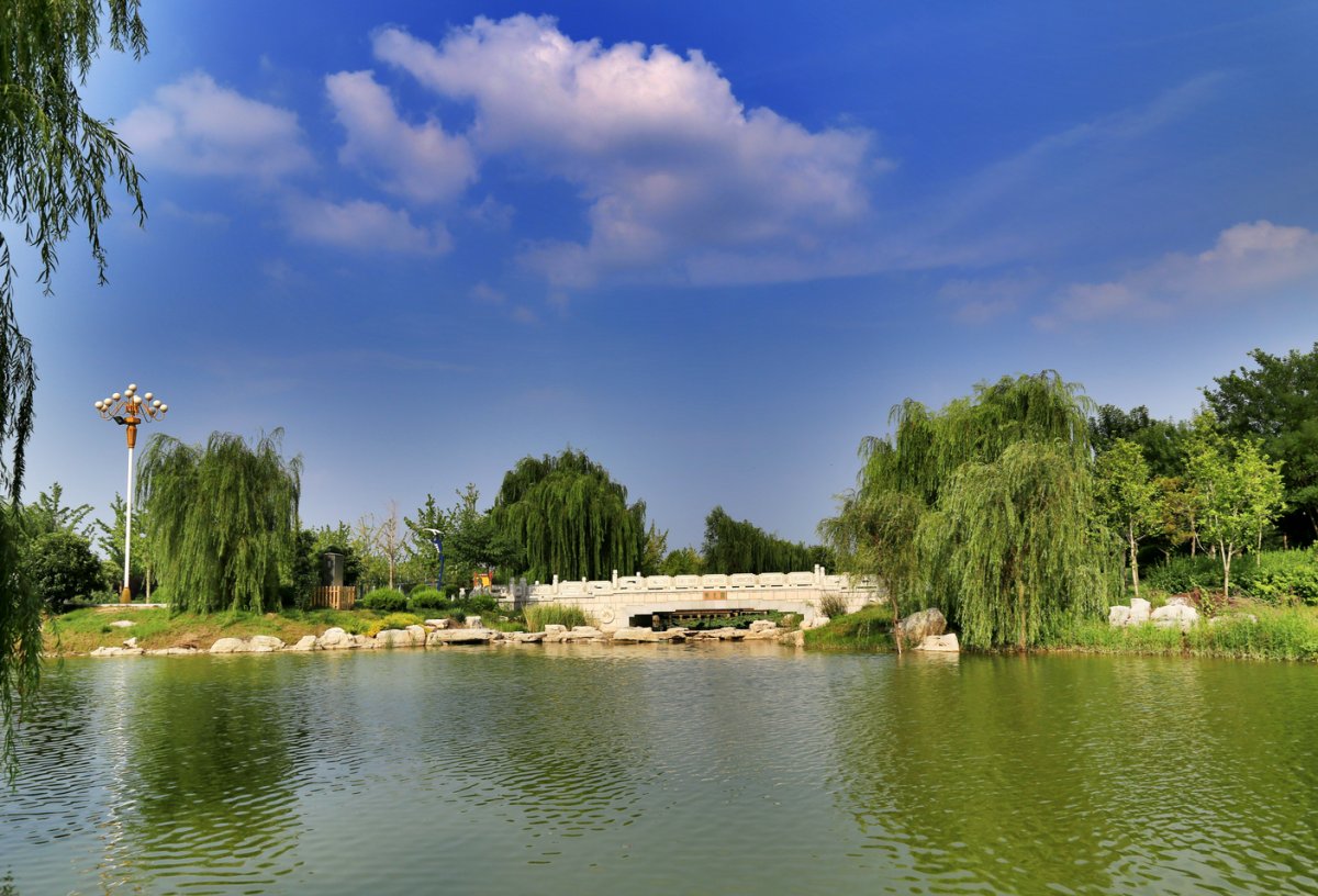 汶上县莲花湖湿地公园图片